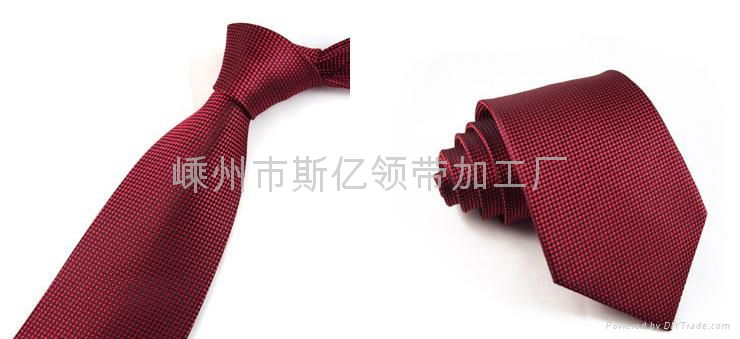 Polyester Wove Necktie/Small Cell Necktie 5