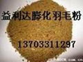 水解羽毛粉制造商 5