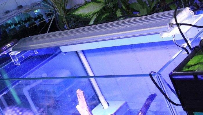 100w 120cm led aquarium light for coral reef & fish 3