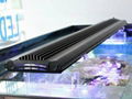 2011 new style 50w/60cm led aquarium light for marine life 3