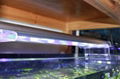 2011 new style 50w/60cm led aquarium light for marine life 4