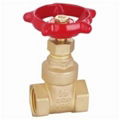 Brass Gate Valve, Threaded