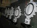 Lug Type PTFE Seated Butterfly Valve
