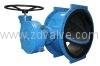 Rubber lined butterfly valve 1