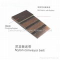 Nylon Canvas Core Conveyor Belt