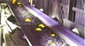 Heat Resisting Conveyor Belt