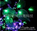 peach tree LED 4