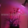 LED Grow Light 