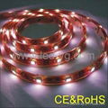 LED Strip  1