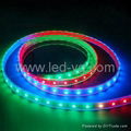 CE& RoHS Approve LED Strip/RGB Color LED Strp