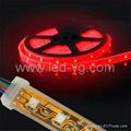 30LEDs/M Nonwaterproof 5050 LED Strip Light (12V)