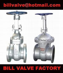 gate valve