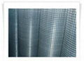 Welded wire mesh