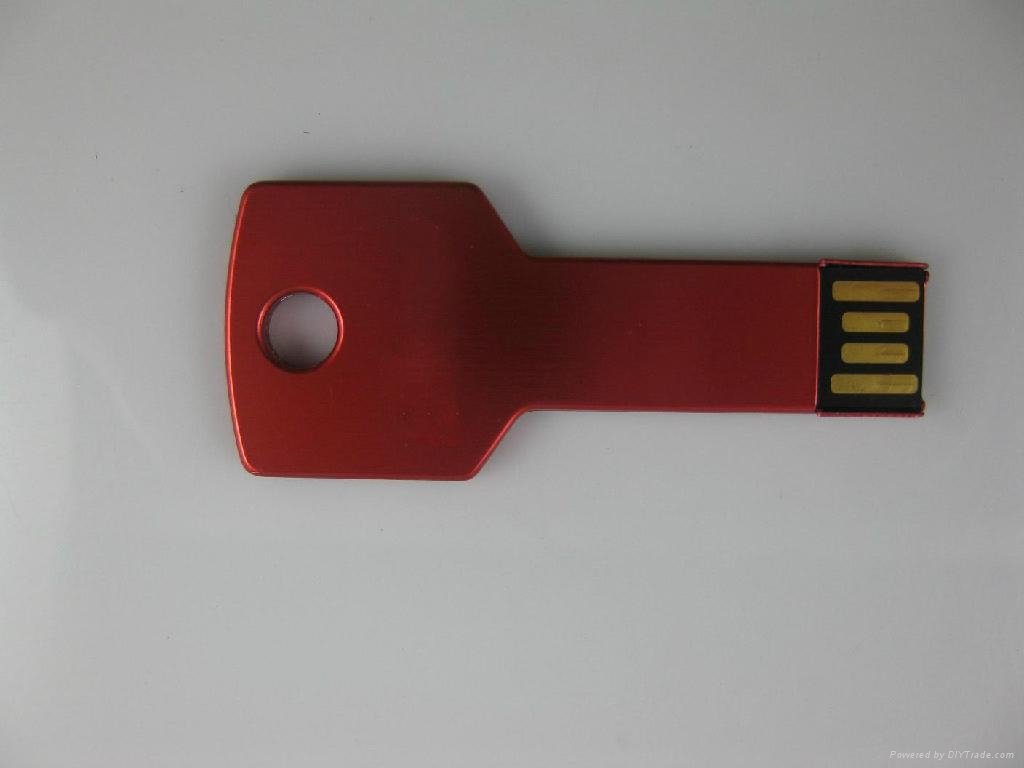 Promotional Gift Key Shape USB Pen drive 4GB 2