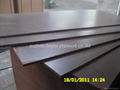 1250*2500mm black film faced plywood 1