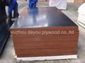 1250*2500mm black film faced plywood 2