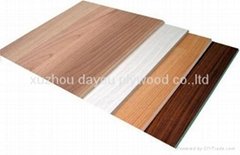 Beech faced plywood