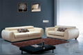  home furniture leather sofa 5