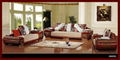 home furniture modern sofa 3