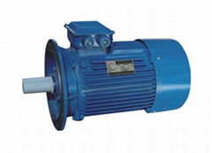 electric motor