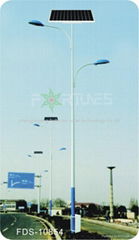 FDS-10854 solar road light