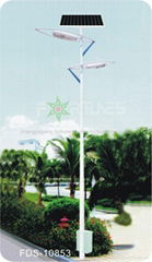 FDS-10853 solar road light