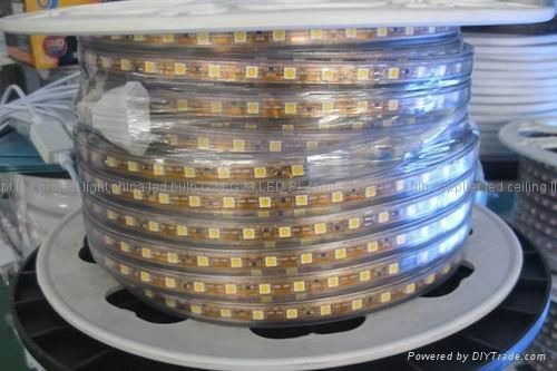 AC high voltage power 110V 230V LED SMD strip light