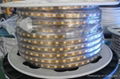 AC high voltage power 110V 230V LED SMD strip light