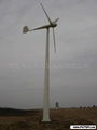 wind-driven generator 1