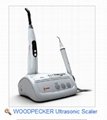 ultrasonic scaler UDS-M (with curing