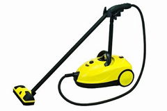 steam cleaner