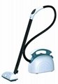 portable steam cleaner 2