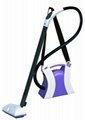 portable steam cleaner 3