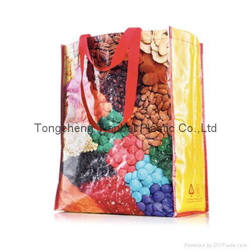 2011 newest ECO PP non woven bag  2