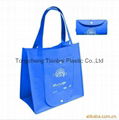 2012 Latest OEM service non woven shopping bag 2