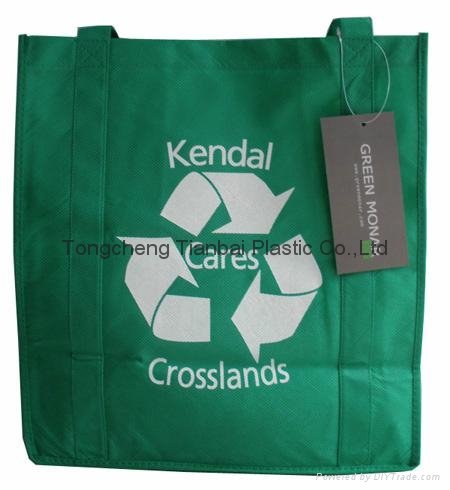 2012 Latest OEM service non woven shopping bag 3