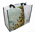 2011 newest pp woven shopping bag