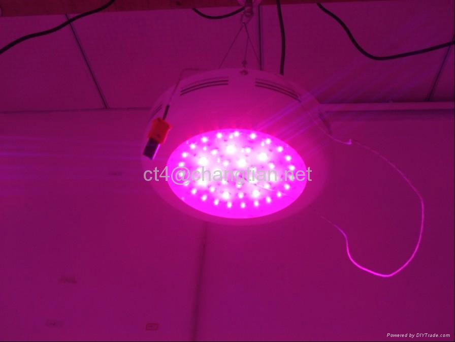 90W UFO led grow light best for growing of medical marijuana and flower plants 2