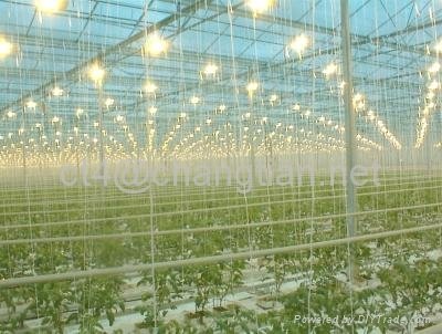 90W UFO led grow light best for growing of medical marijuana and flower plants 4