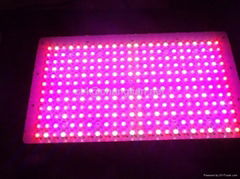 600W led grow light garden light hydroponic light for medical marijuana