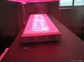 1200W led grow light garden light