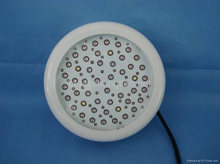 50W mini UFO led grow light hydro light garden light for planting 5