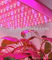 14W led grow panel grow light best for medical herbs and medical marijuana 3