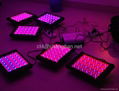 14W led grow panel grow light best for medical herbs and medical marijuana 4