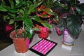 14W led grow panel grow light best for medical herbs and medical marijuana 5