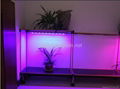 10W led grow tube grow light best for medical herbs and medical marijuana 3