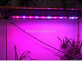 10W led grow tube grow light best for medical herbs and medical marijuana 4