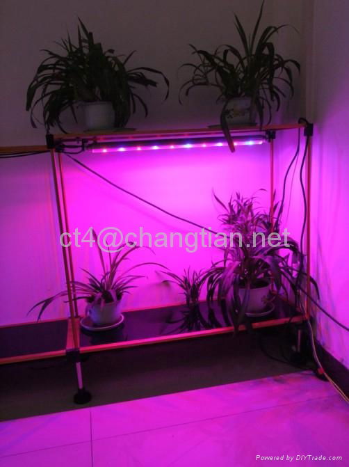 10W led grow tube grow light best for medical herbs and medical marijuana 5