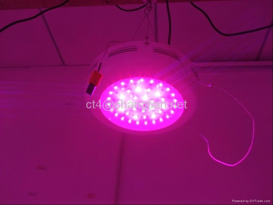 90W led grow lamp garden lamp hydro lamp for indoor planting 3