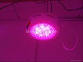 90W led grow lamp garden lamp hydro lamp for indoor planting 3